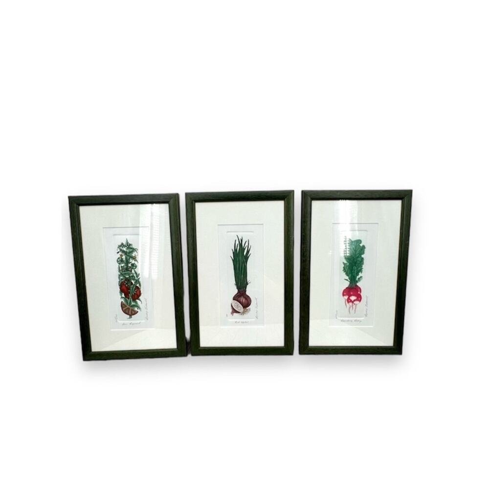 Bailey Tidwell still life vegetable lithographs framed signed numbered titled